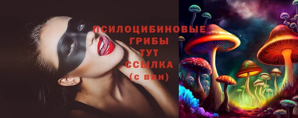 гидра Майский
