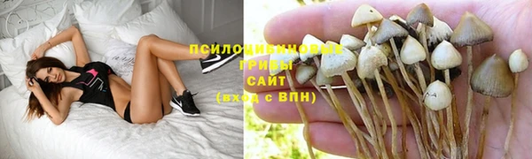 гашик Магас