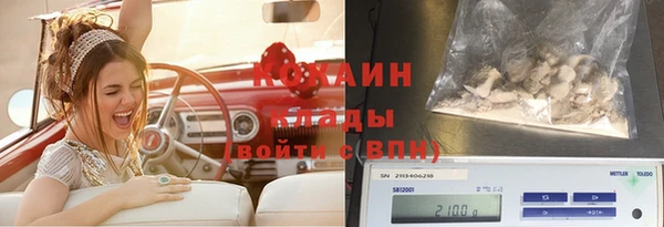 гидра Майский