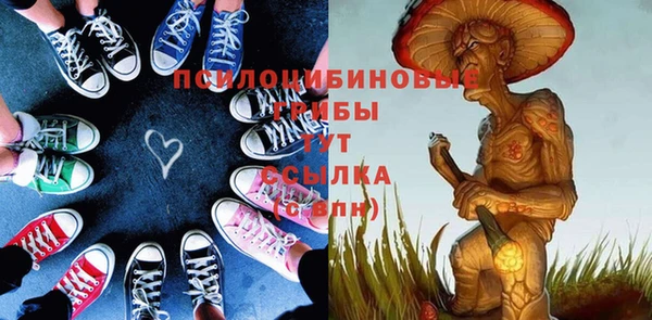 гидра Майский
