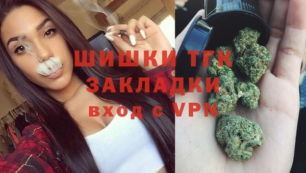 гидра Майский