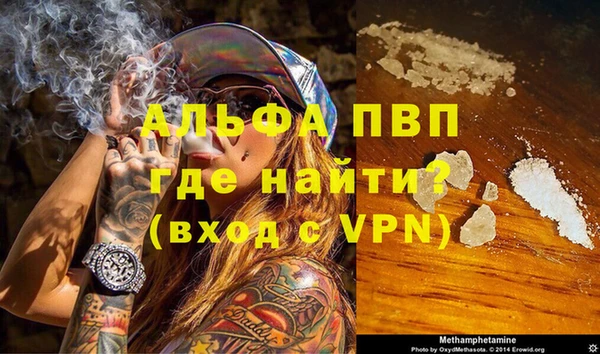 гидра Майский