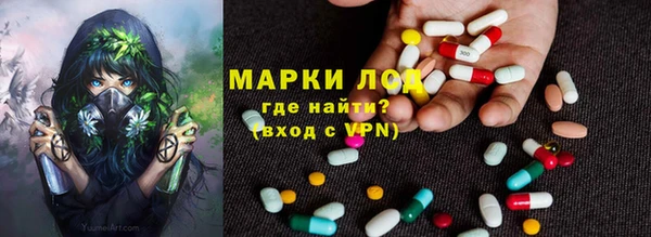 гашик Магас