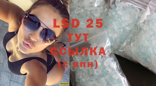 гидра Майский