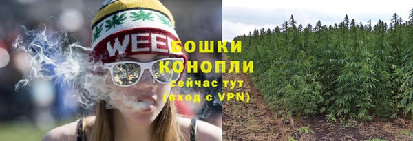 гашик Магас