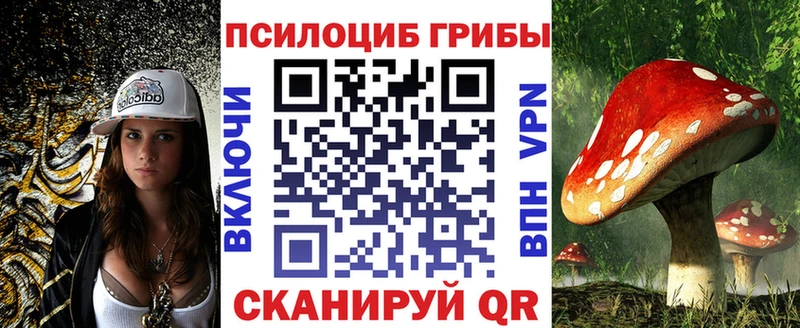 Галлюциногенные грибы MAGIC MUSHROOMS  mega зеркало  Брянск  закладка 